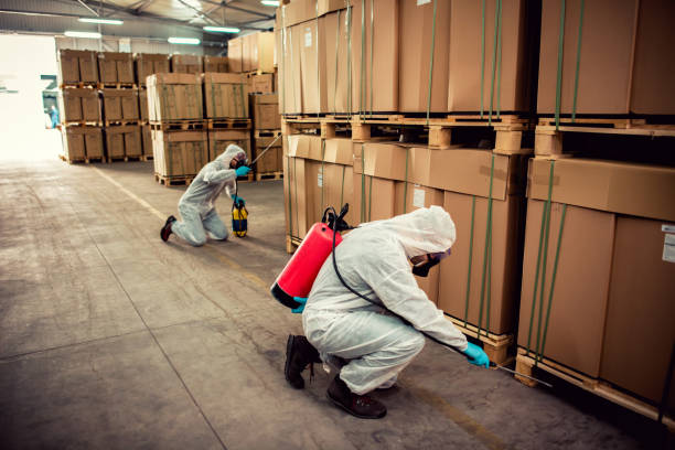Reliable Sterling Ranch, CO Pest Control Solutions