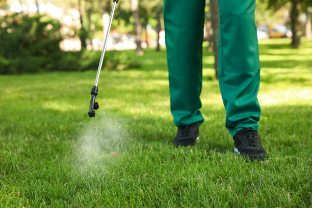 Flea Control Services in Sterling Ranch, CO